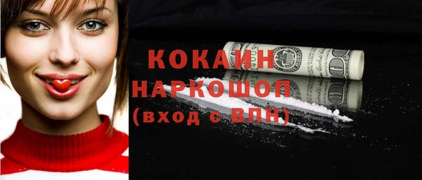 индика Заволжск