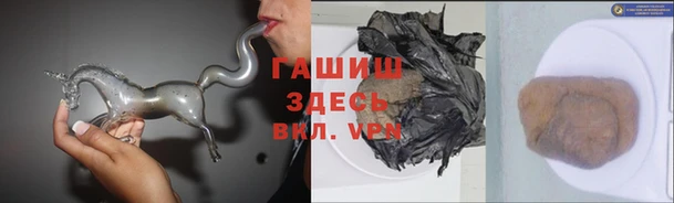 индика Заволжск