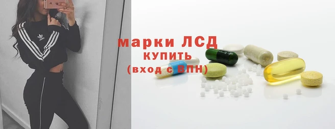 стафф Елизово