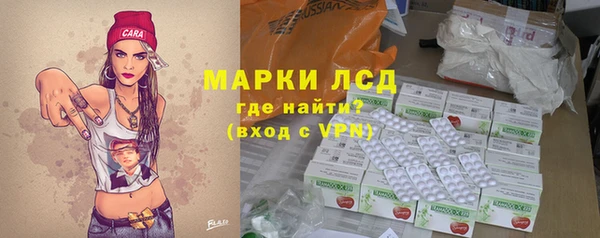 стафф Елизово